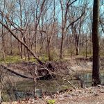 North Fork of the Vermilion in Potomac