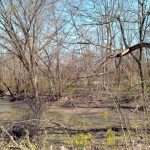 North Fork of the Vermilion in Potomac north bend